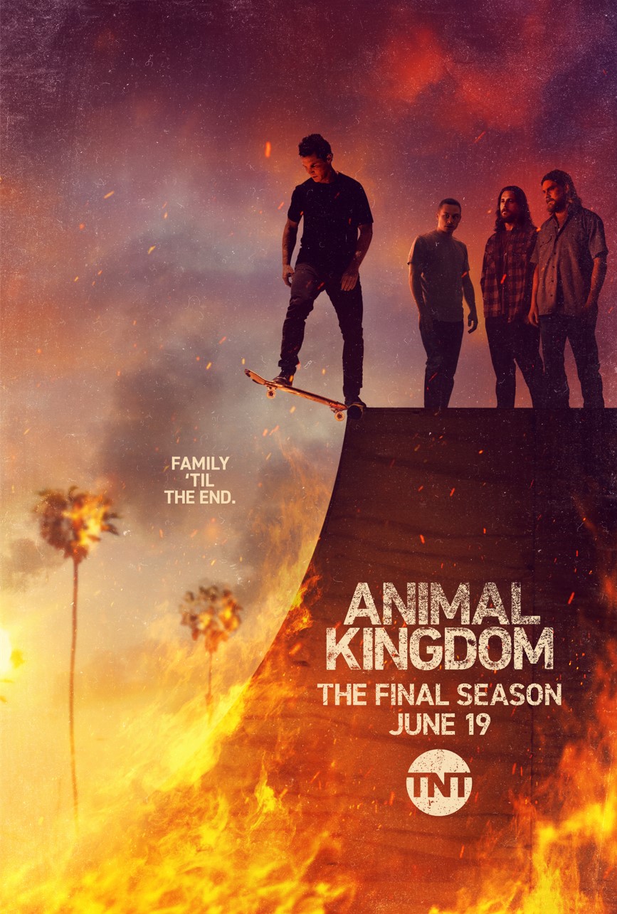 دانلود سریال Animal Kingdom با زیرنویس فارسی چسبیده